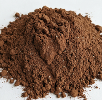 Ritual mit gesalzenem Kakao